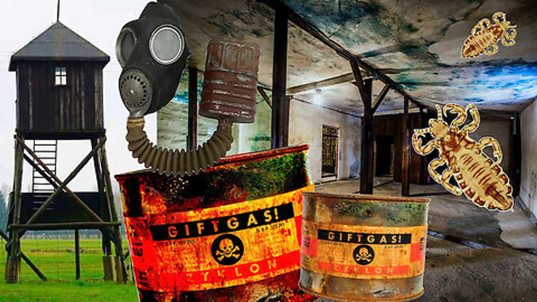 Cover for HN3: Extermination Camp? Homicidal gas chambers? Majdanek? Vanishingly improbable.